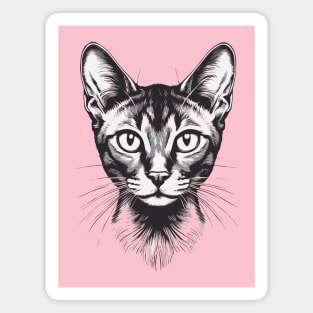 Devon rex Magnet